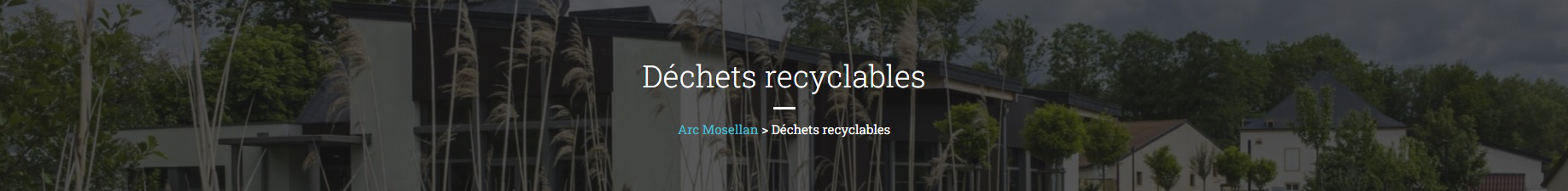 CCAM-Dechets_recyclables